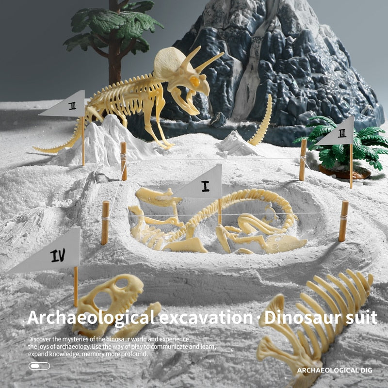 Kit de Escavação de Fósseis de Dinossauros