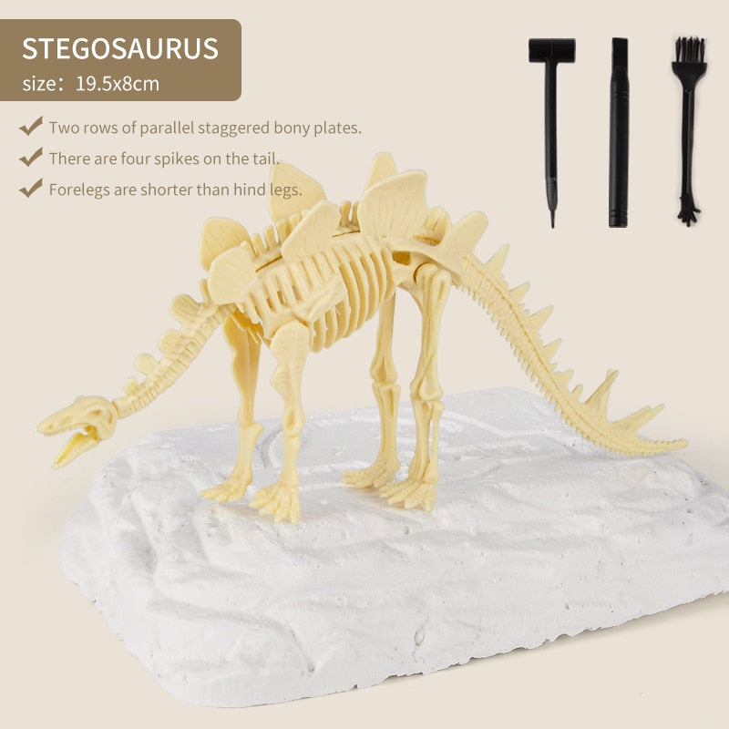 Kit de Escavação de Fósseis de Dinossauros
